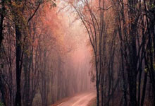 雷火电竞平台-当紫金军团遇上日耳曼战车：一场改写体育商业版图的跨界烽烟