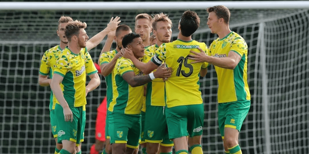 诺维奇客场负于水晶宫，四轮不胜降级风险增加的简单介绍