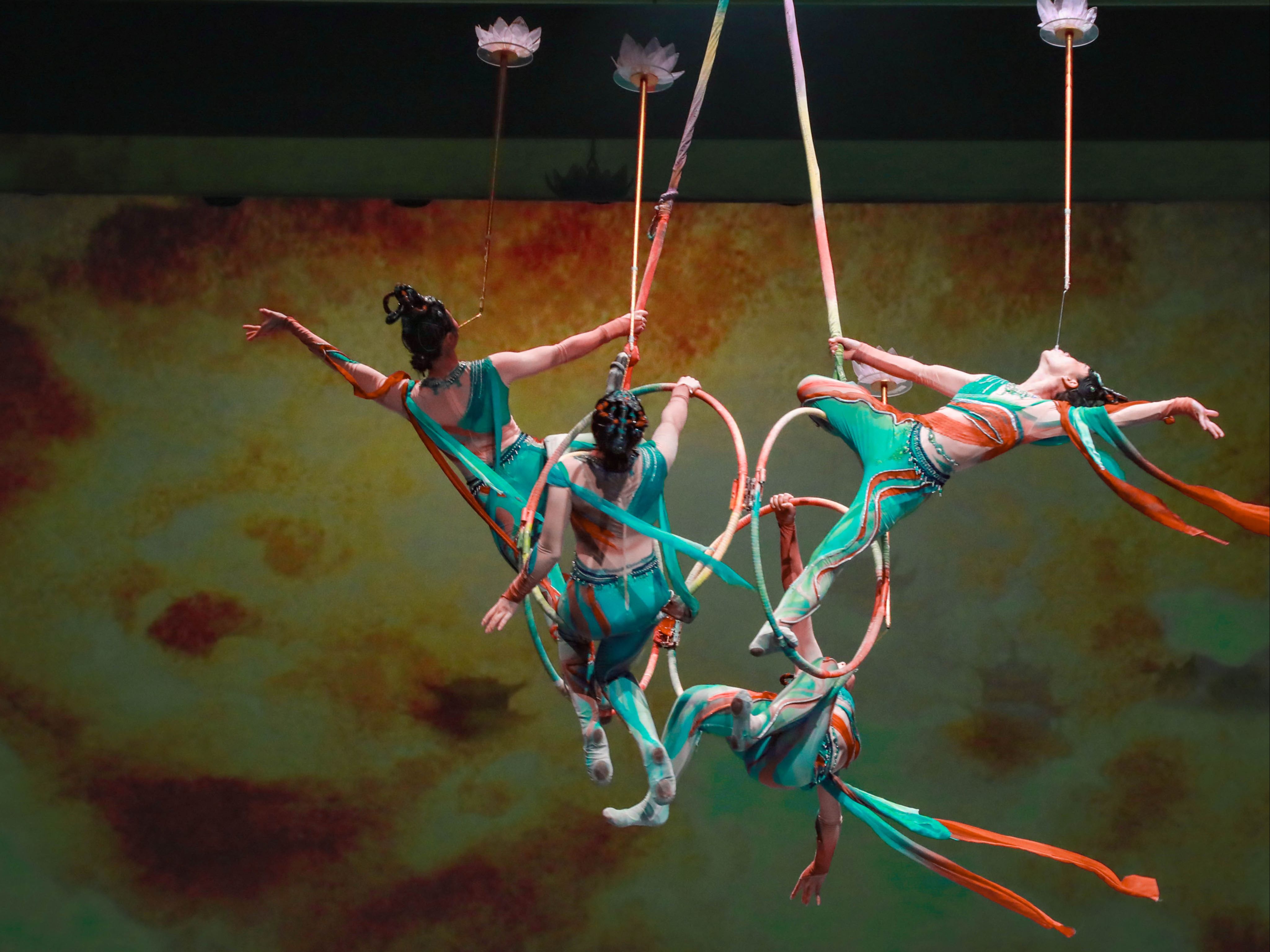 特技表演赛引爆全场，精彩纷呈的简单介绍