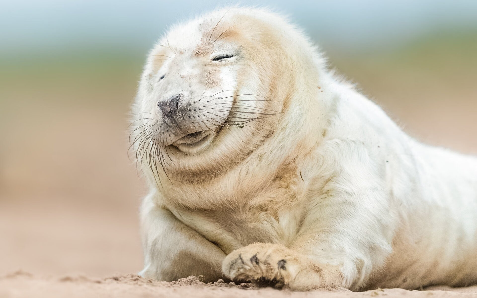 钢铁意志，当克罗地亚强压摩纳哥的浪漫，卡瓦哈尔在抢七中定义接管