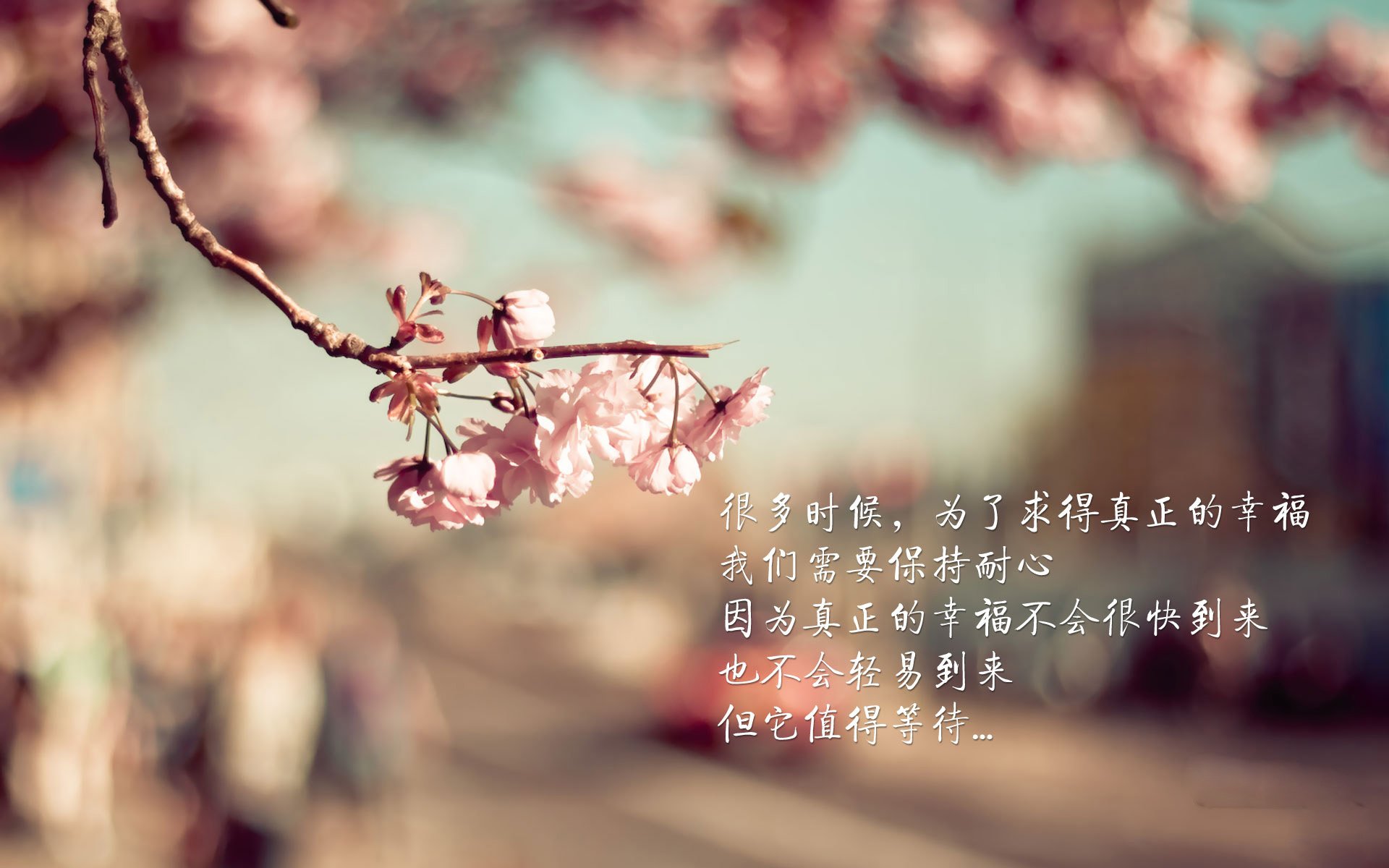 火中取栗,恩比德如何一己之力打崩魔术苦心经营的禁飞区