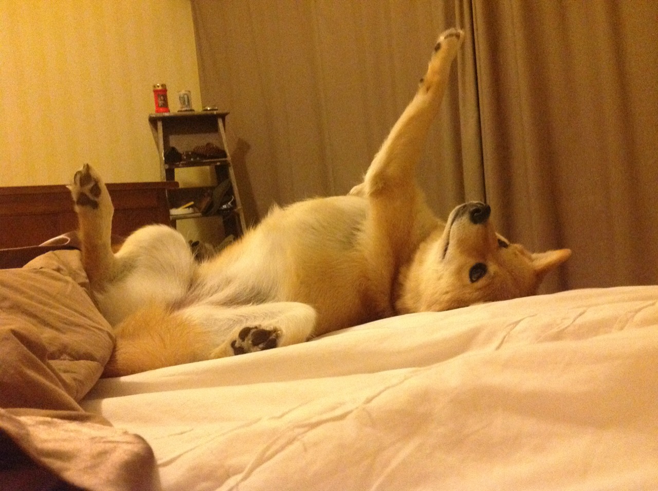 数字炼金术，从阿圭罗的数据风暴到澳大利亚的硬仗智慧