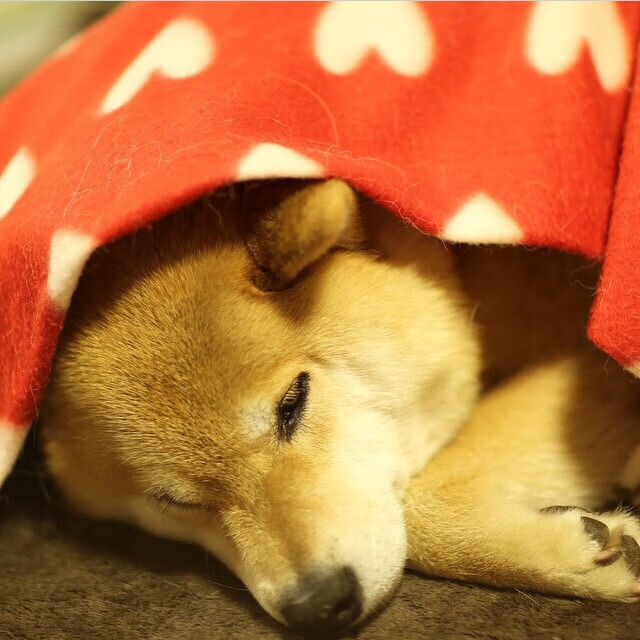 圣西罗的火山，当奥利维耶爆发，AC米兰如何压制马赛