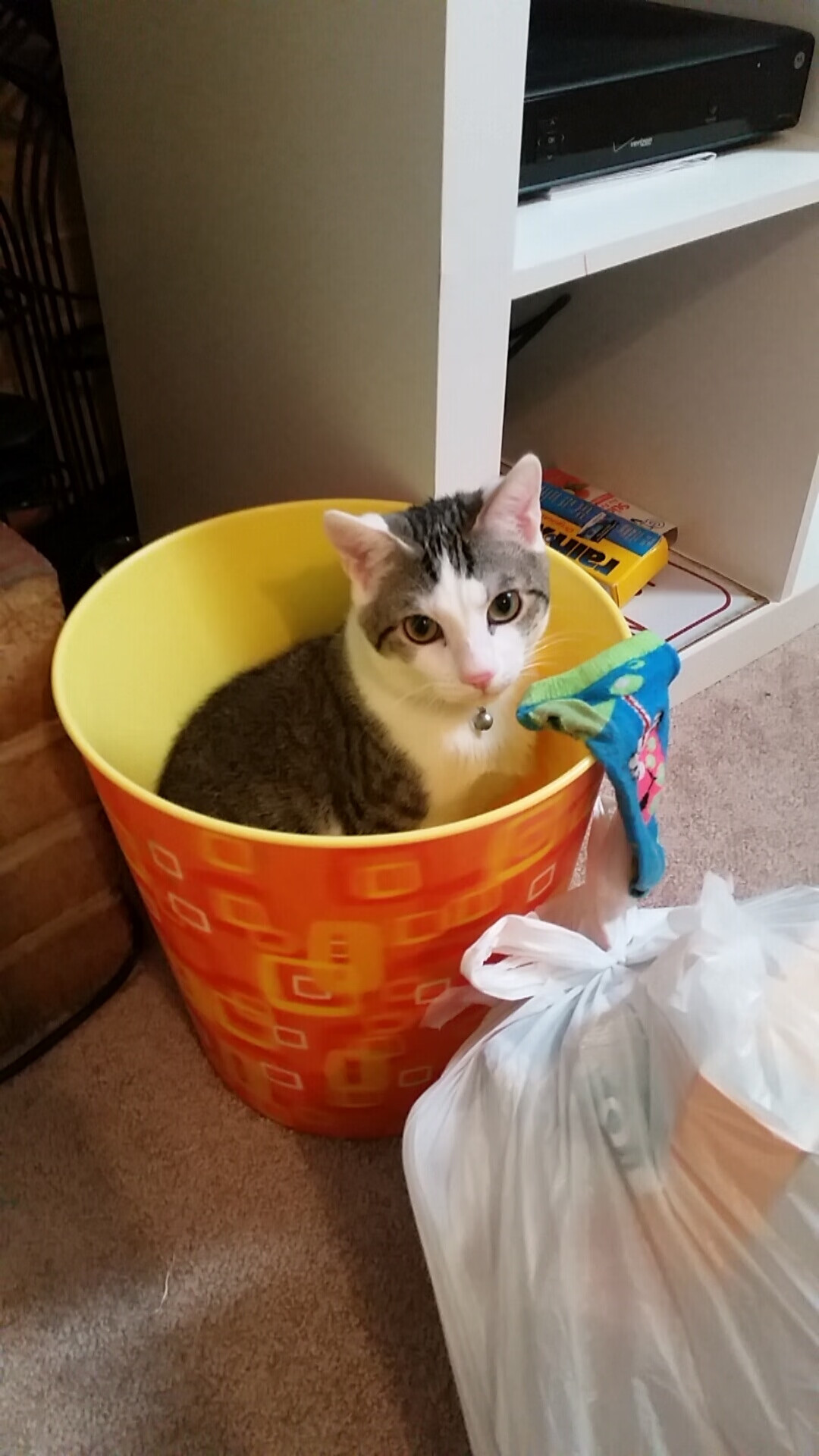 雷火电竞充值-喀麦隆的节奏革命，凯塞多如何用一场热带风暴诠释足球控制力的唯一性