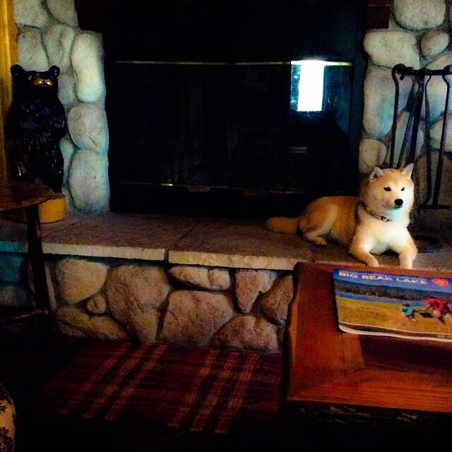 矛盾共生体,布雷默扛着巴西前行,巴萨火力却压制着桑巴军团