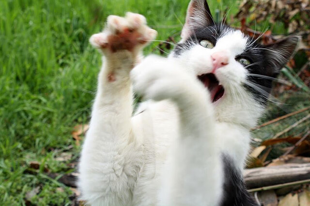 浓眉染血加时赛点燃速贷中心 骑士绝境逆袭掀翻卫冕冠军掘金