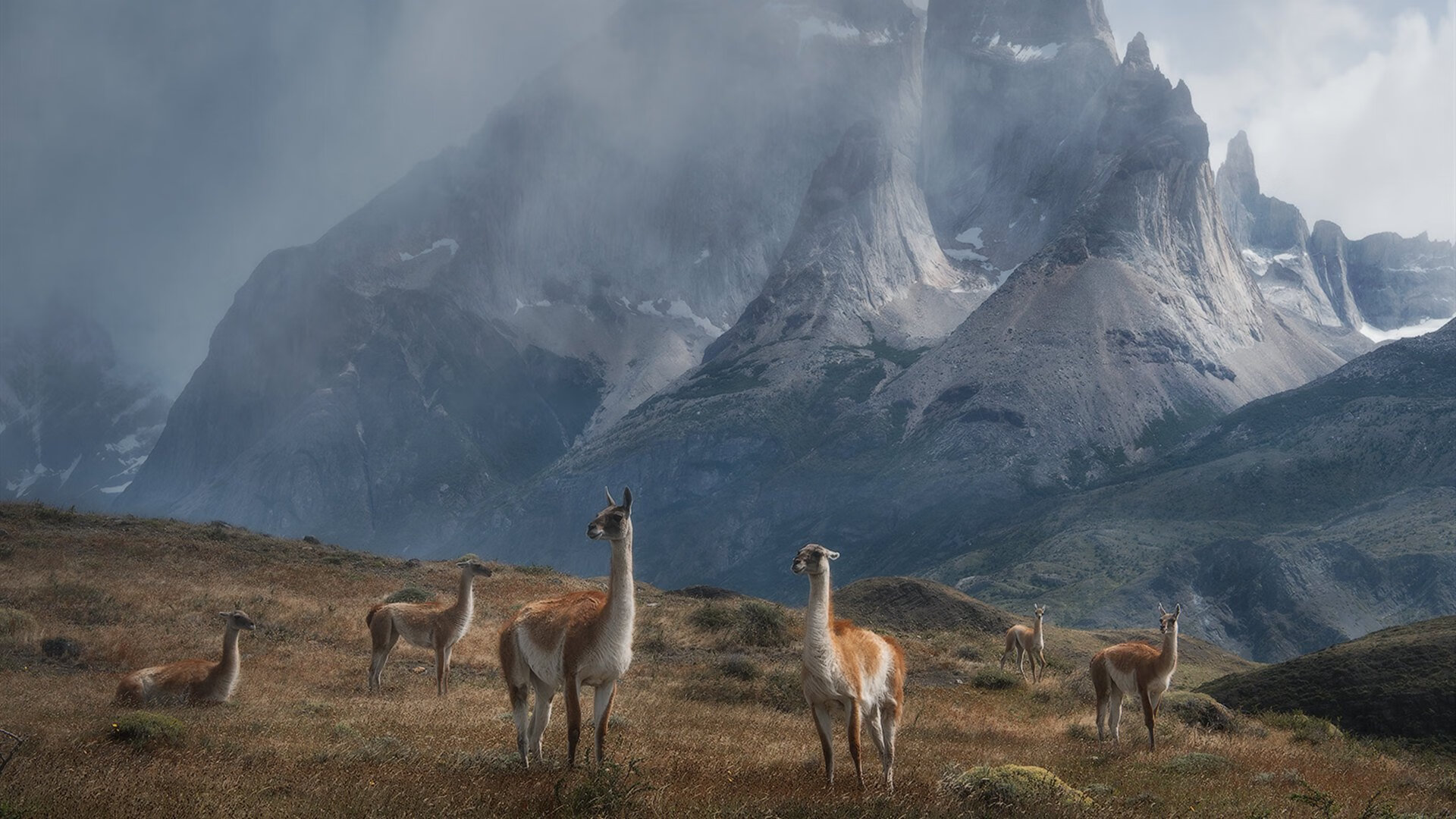 山西力压广东演黑马逆袭，马克西统治级数据掀起新风暴