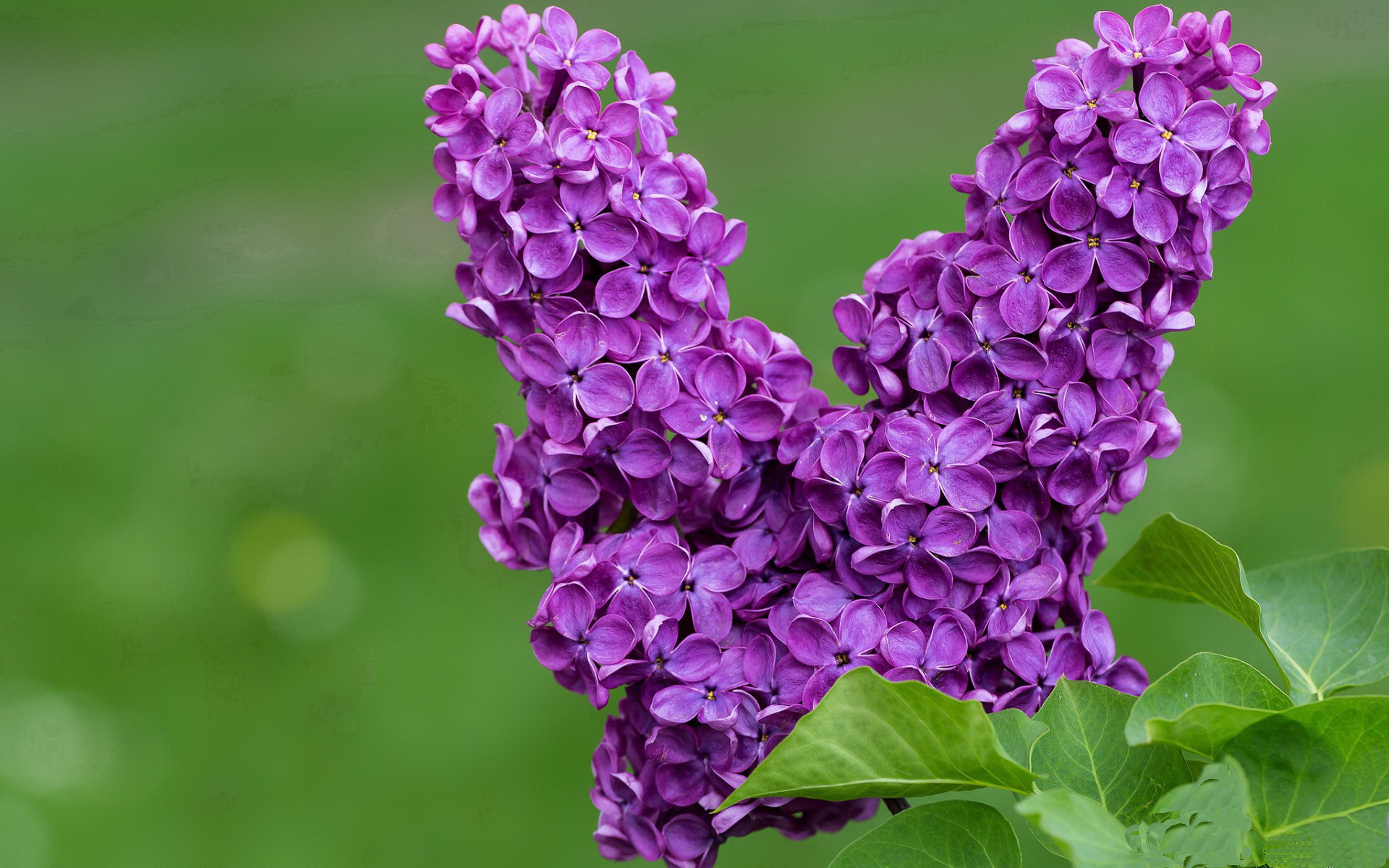 唯一性!小贾伦跨维度爆发,太阳单节24分洪流冲垮广东队