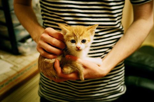 死神附体！浓眉末节狂飙18分，广厦淘汰老鹰创历史