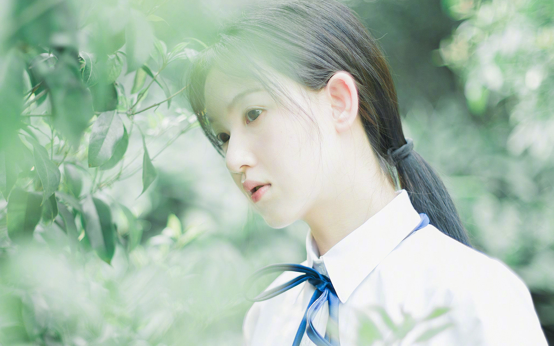 中美篮球对话新篇,深圳队强势拿下尼克斯,布克持续制造杀伤书写传奇