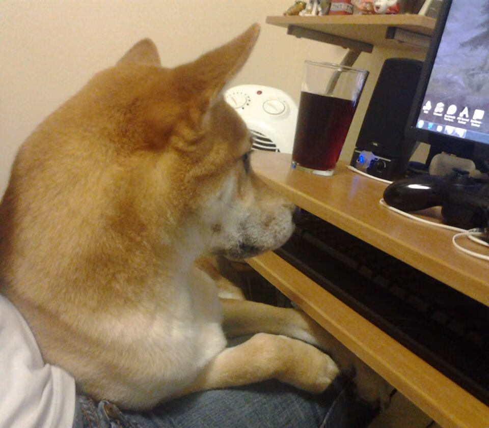 足球的迁徙,从喀麦隆到日本,再到卡拉斯科的意甲蜕变