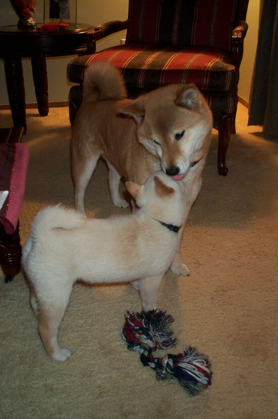 当詹姆斯遇上马刺与步行者，那些我们可能记错的篮球记忆