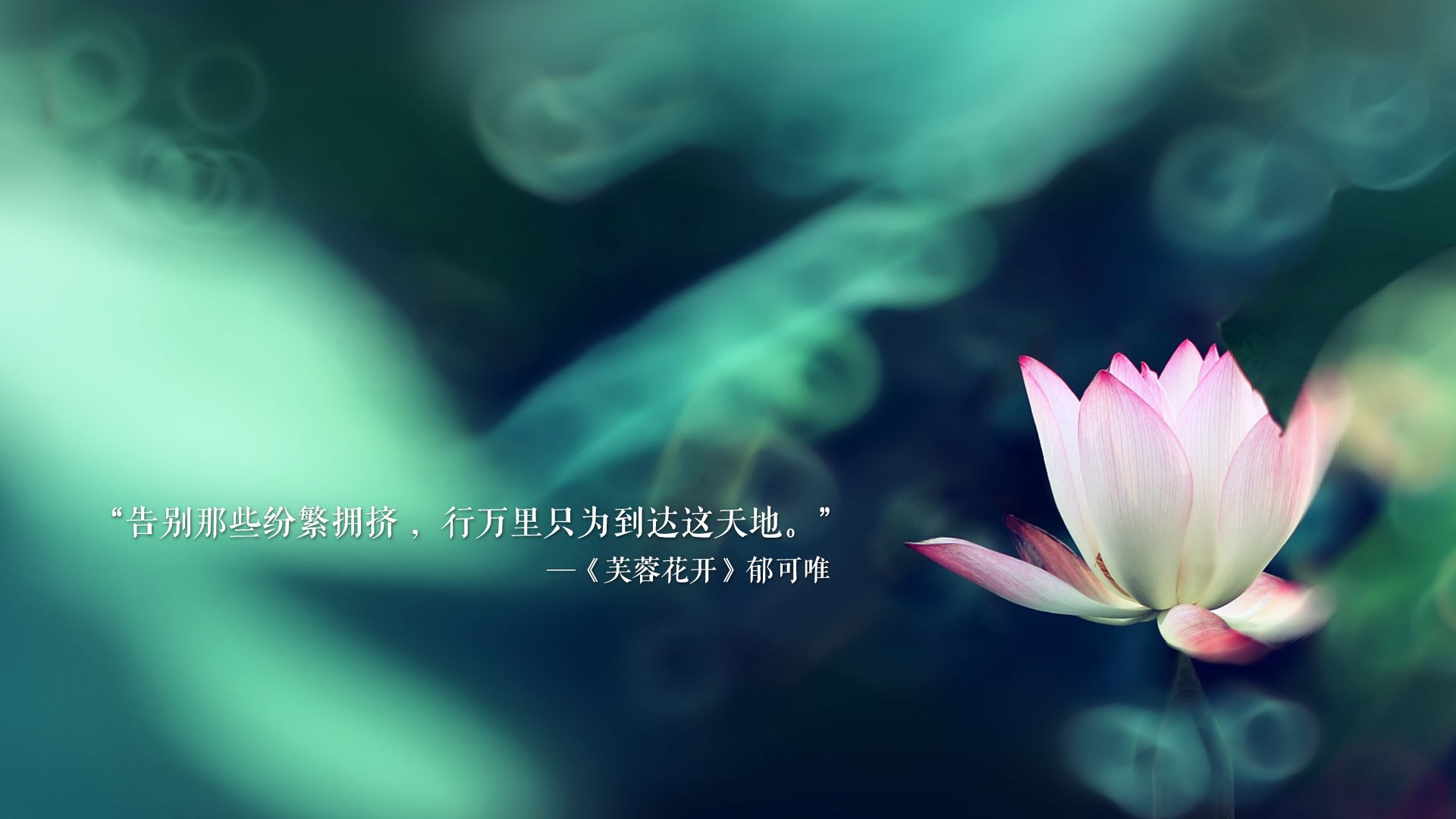 雷火电竞-橙色风暴的黄昏，喀麦隆铁骑踏破郁金香，京多安独舞点亮2026世界杯巅峰之夜